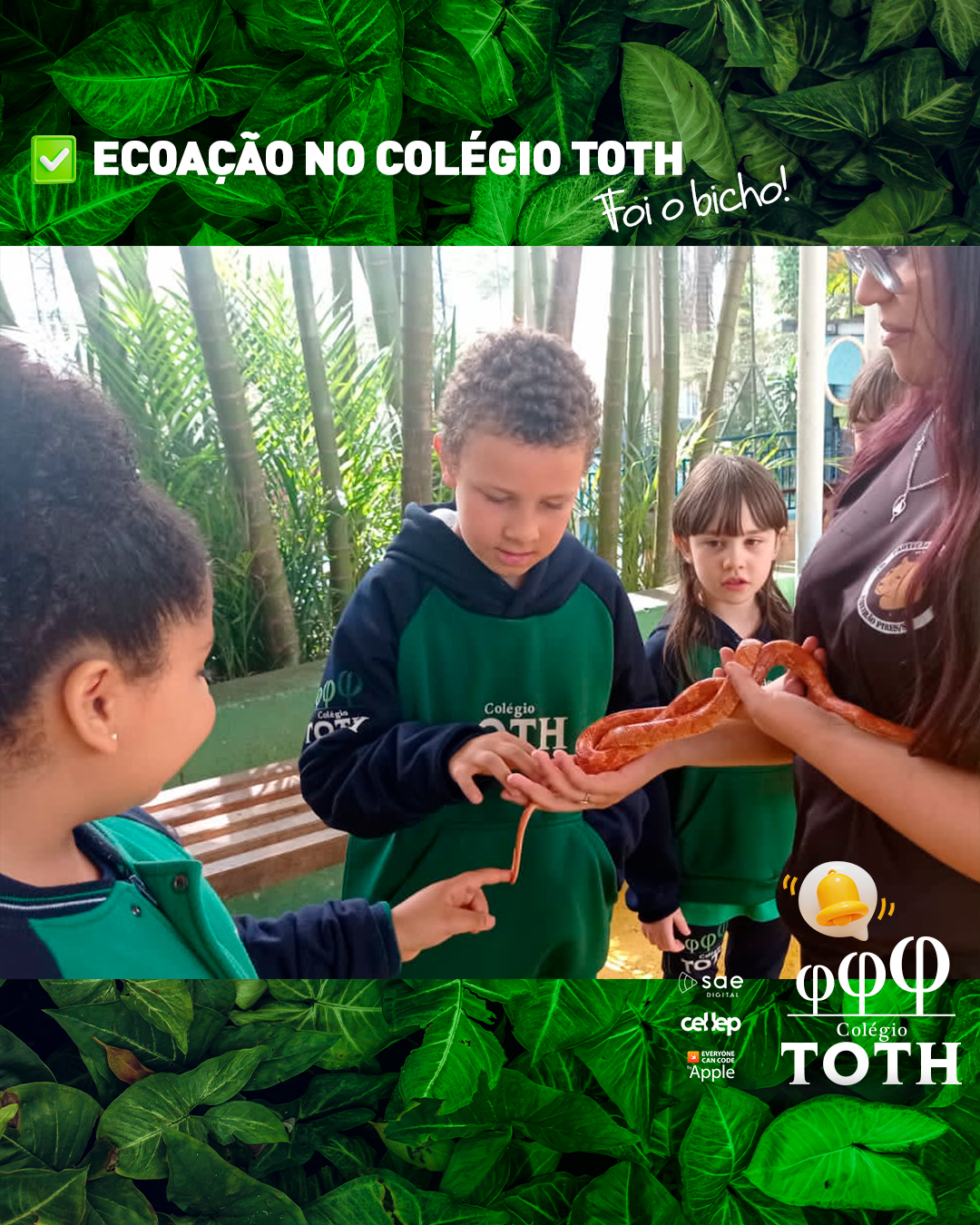 04_ColégioToth_EcoAção_24