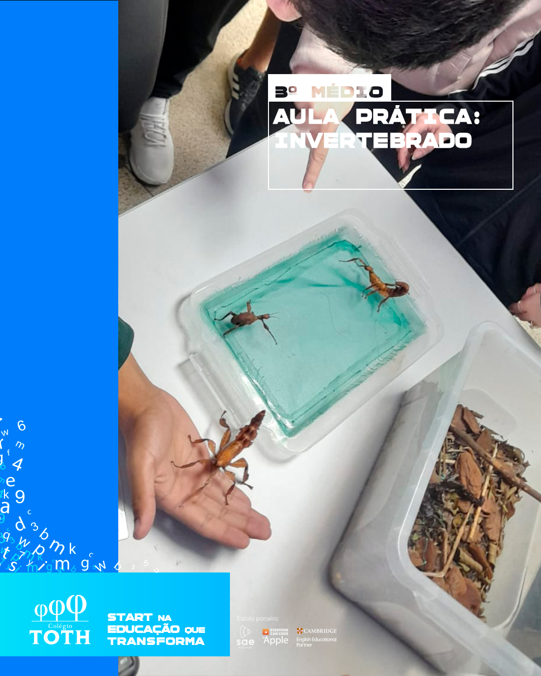 02_ColégioToth_Invertebrados_1