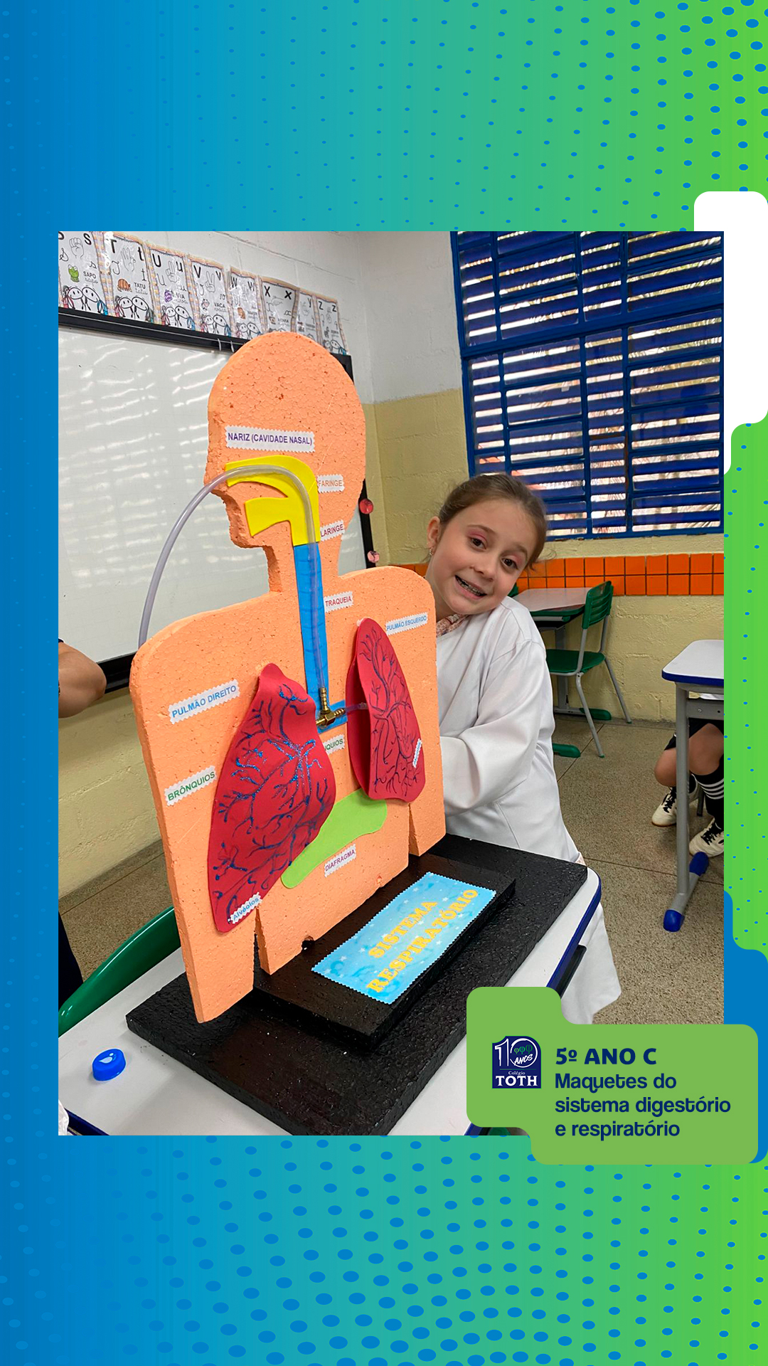 03-Colégio-Toth-Corpo-Humano13